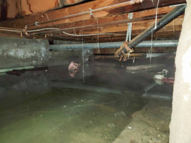 Water damage restoration experts in Stratford, OK