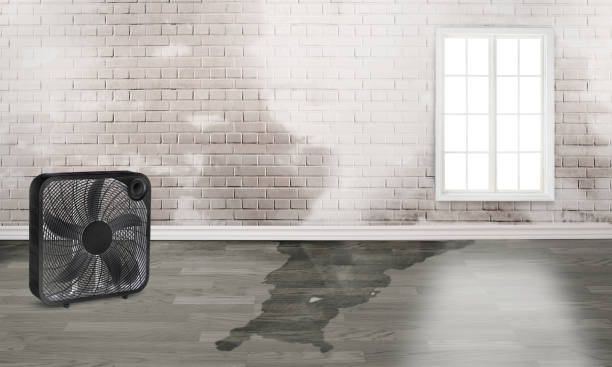 Water damage restoration insurance claims in Stratford, OK